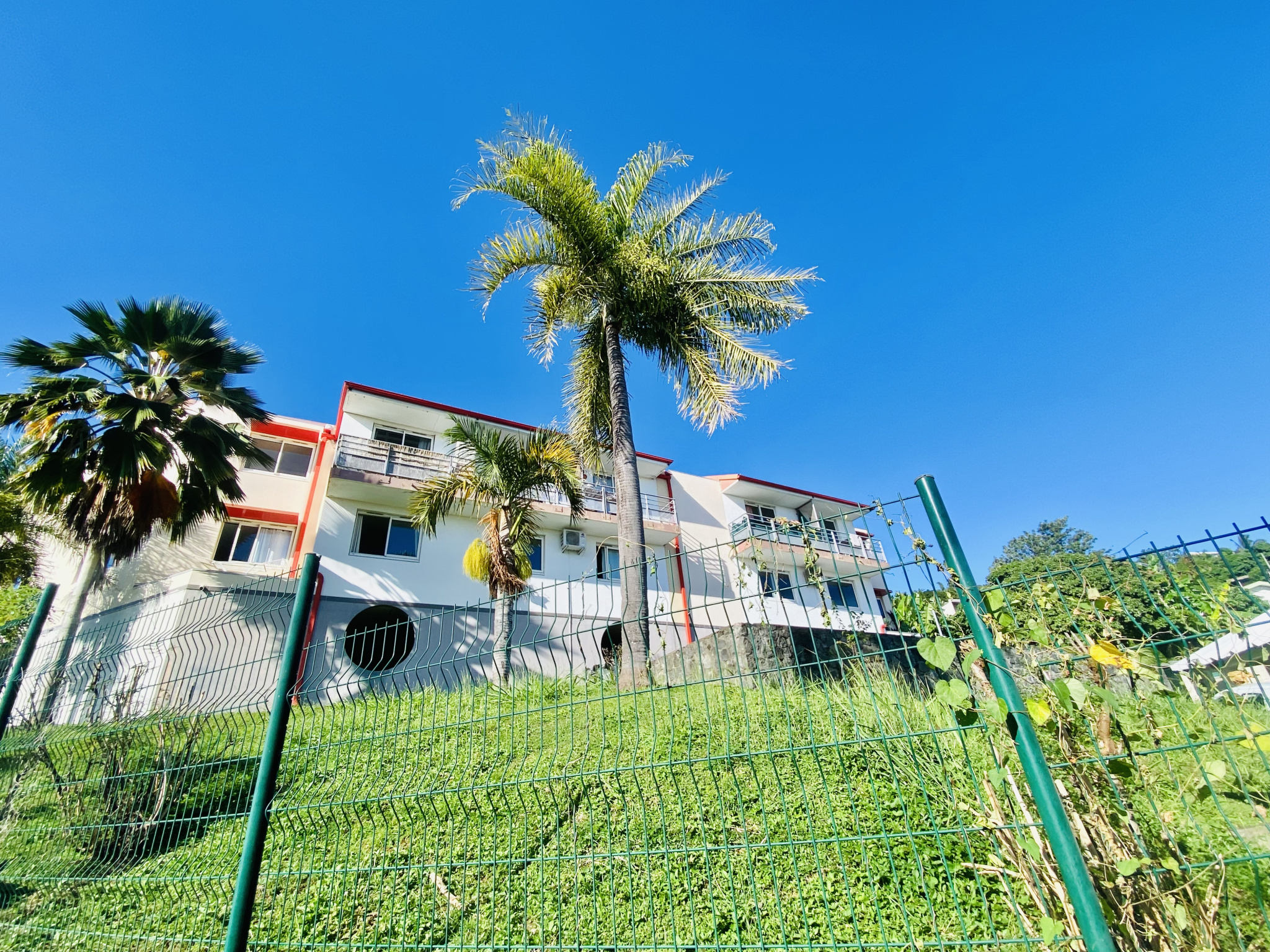 STUDIO libre Janvier 2024 20m2 CENTRAL FAC 97490