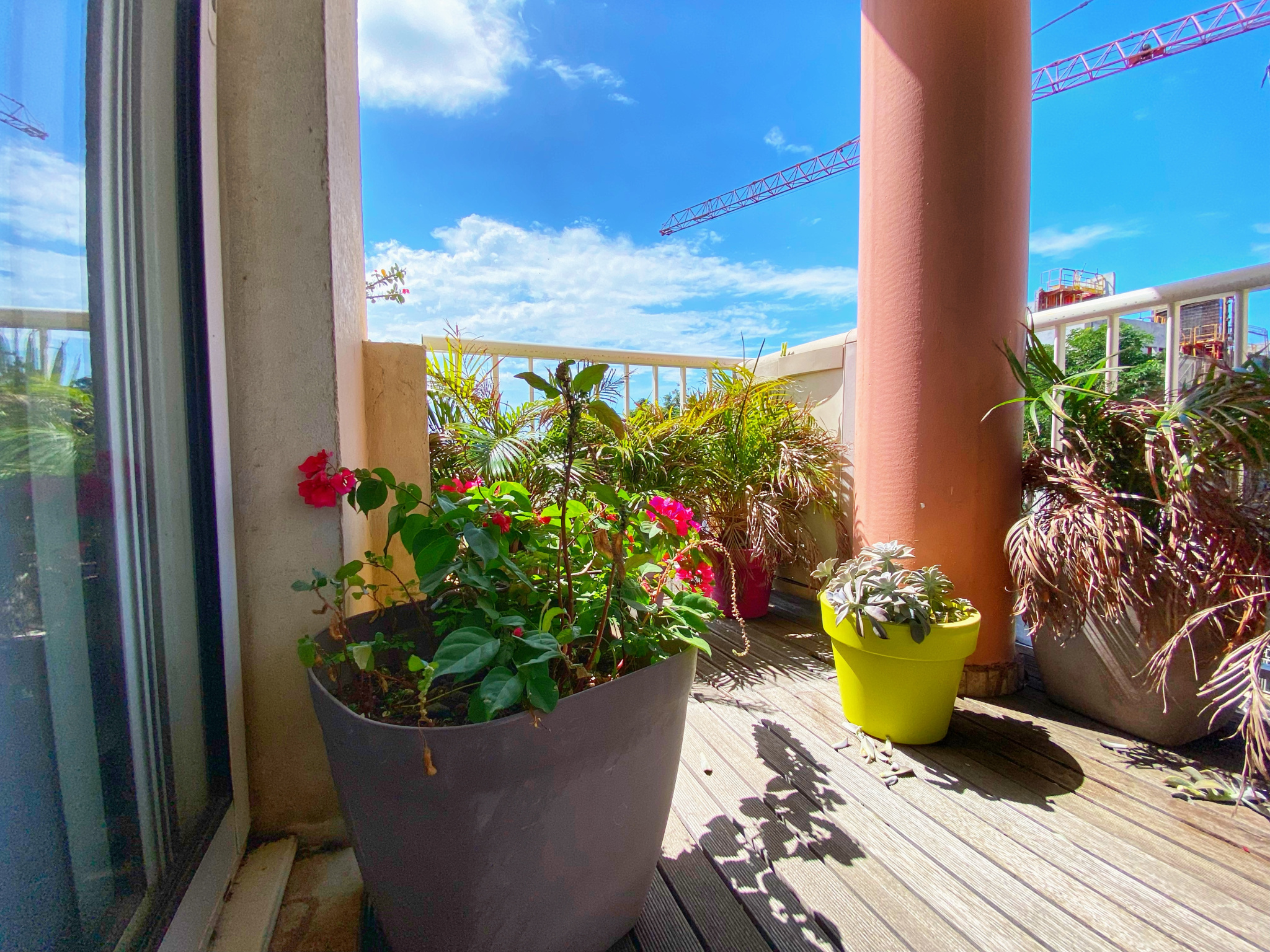 Appartement T3 libre - petite terrasse - 1 parking - Sainte-clotilde