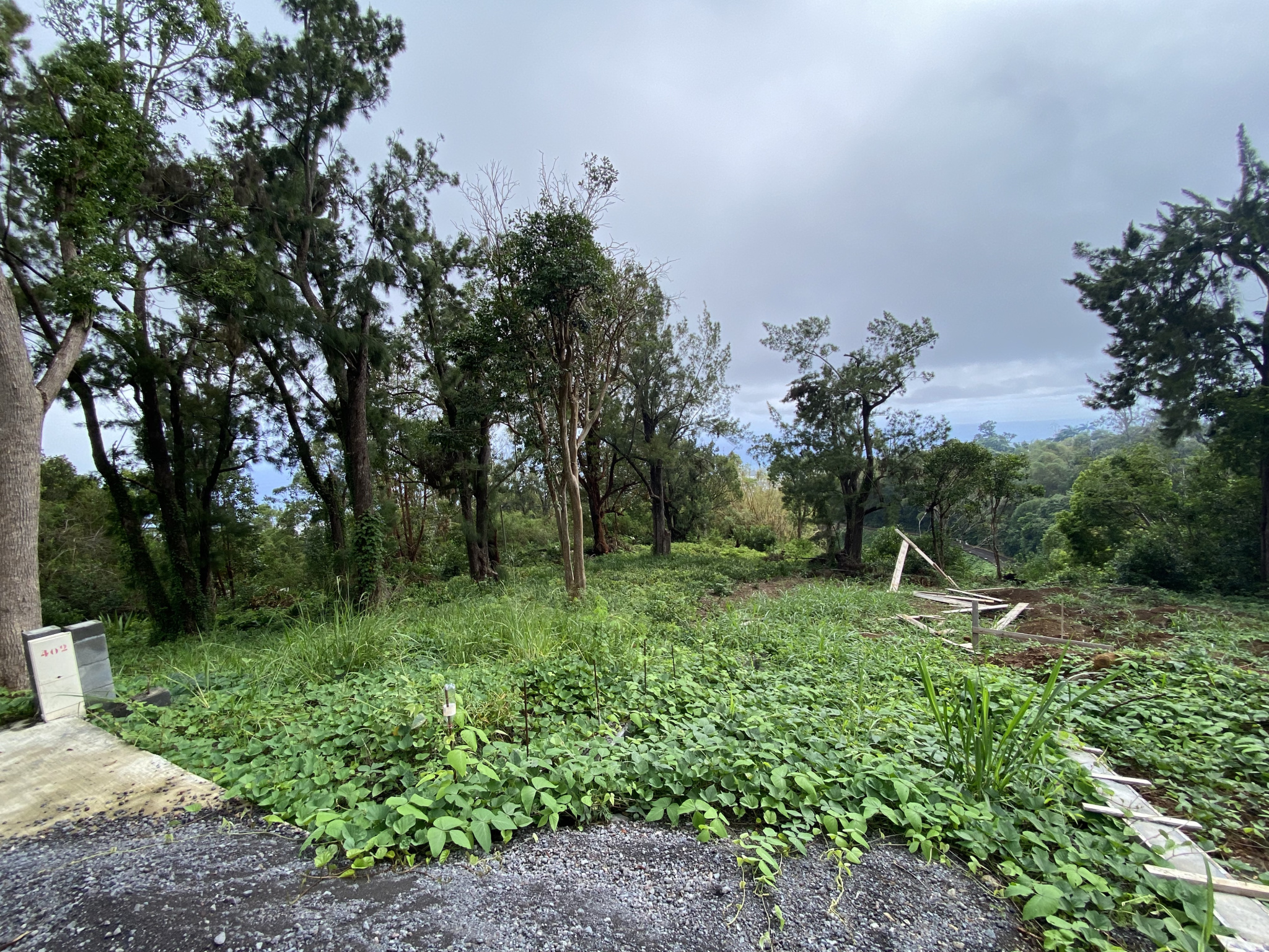 TERRAIN SAINT-FRANÇOIS 1 124m2 constructible