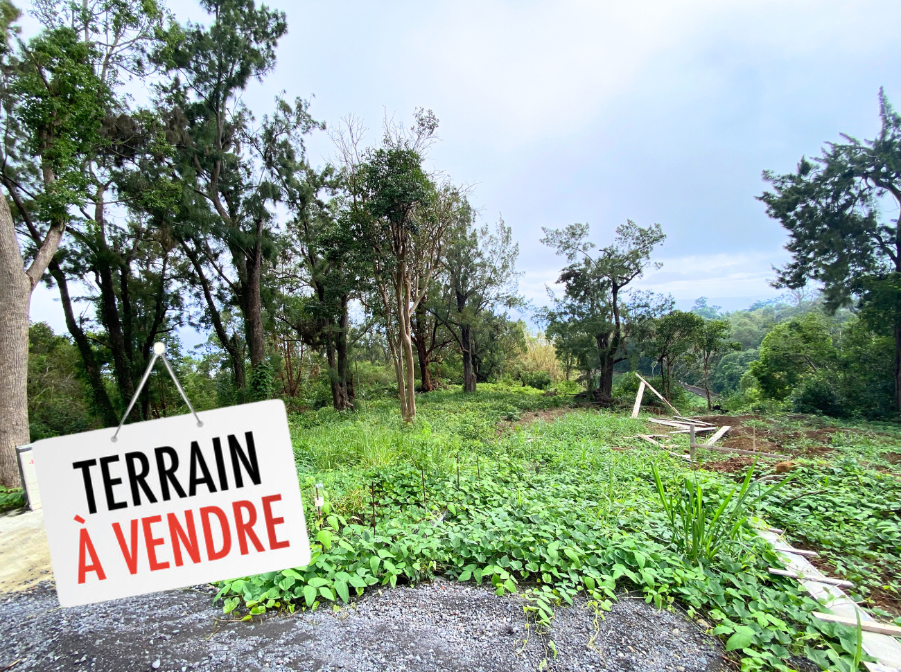 TERRAIN SAINT-FRANÇOIS 1 124m2 constructible