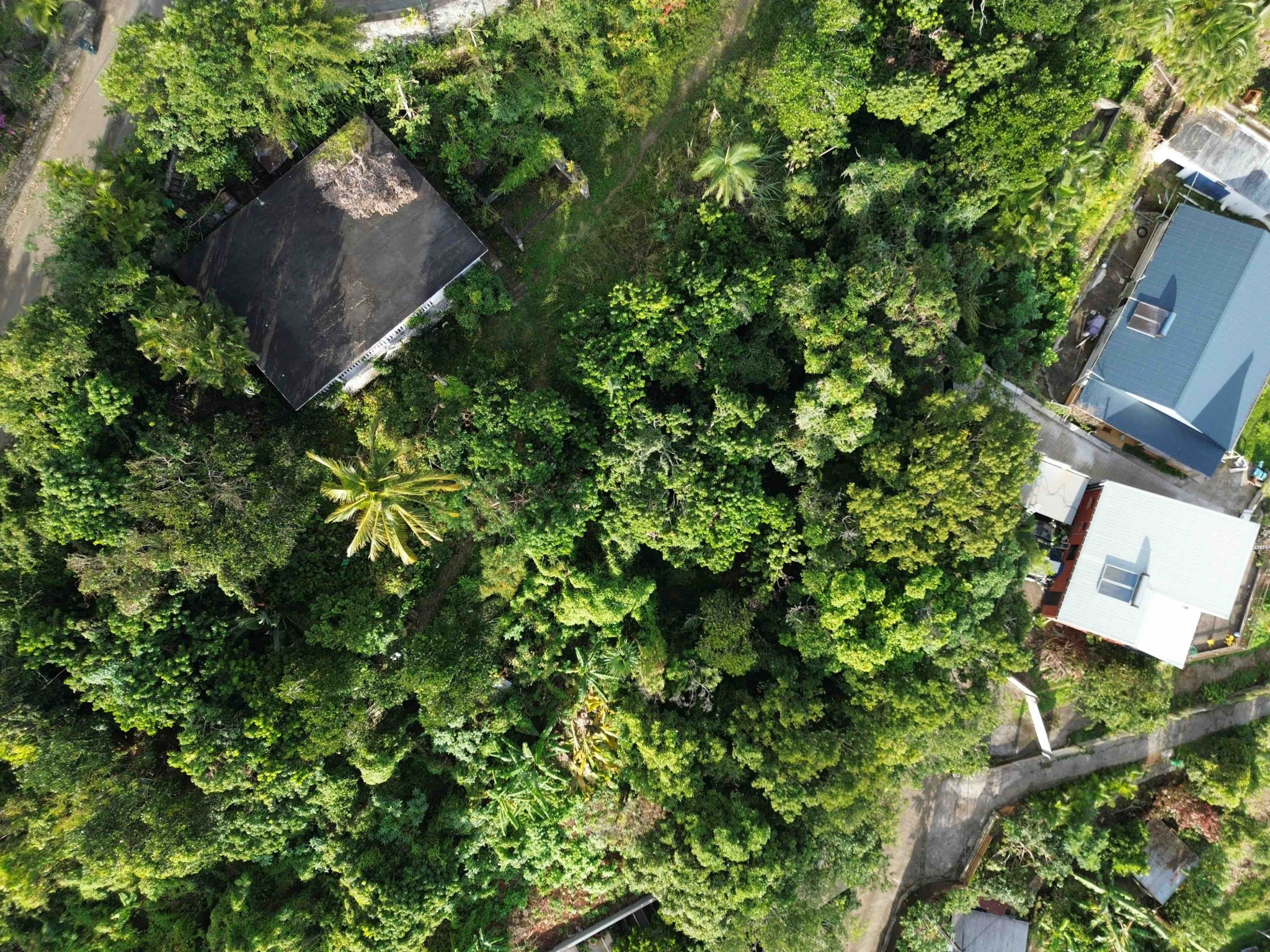 LA POSSESSION (RAVINE A MALHEUR - TERRAIN A BATIR 577m2