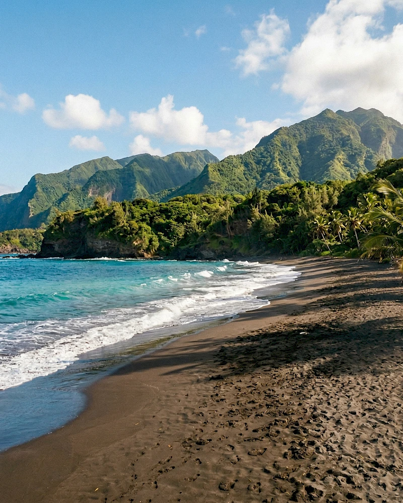 Comment trouver la bonne agence immobilière à la réunion